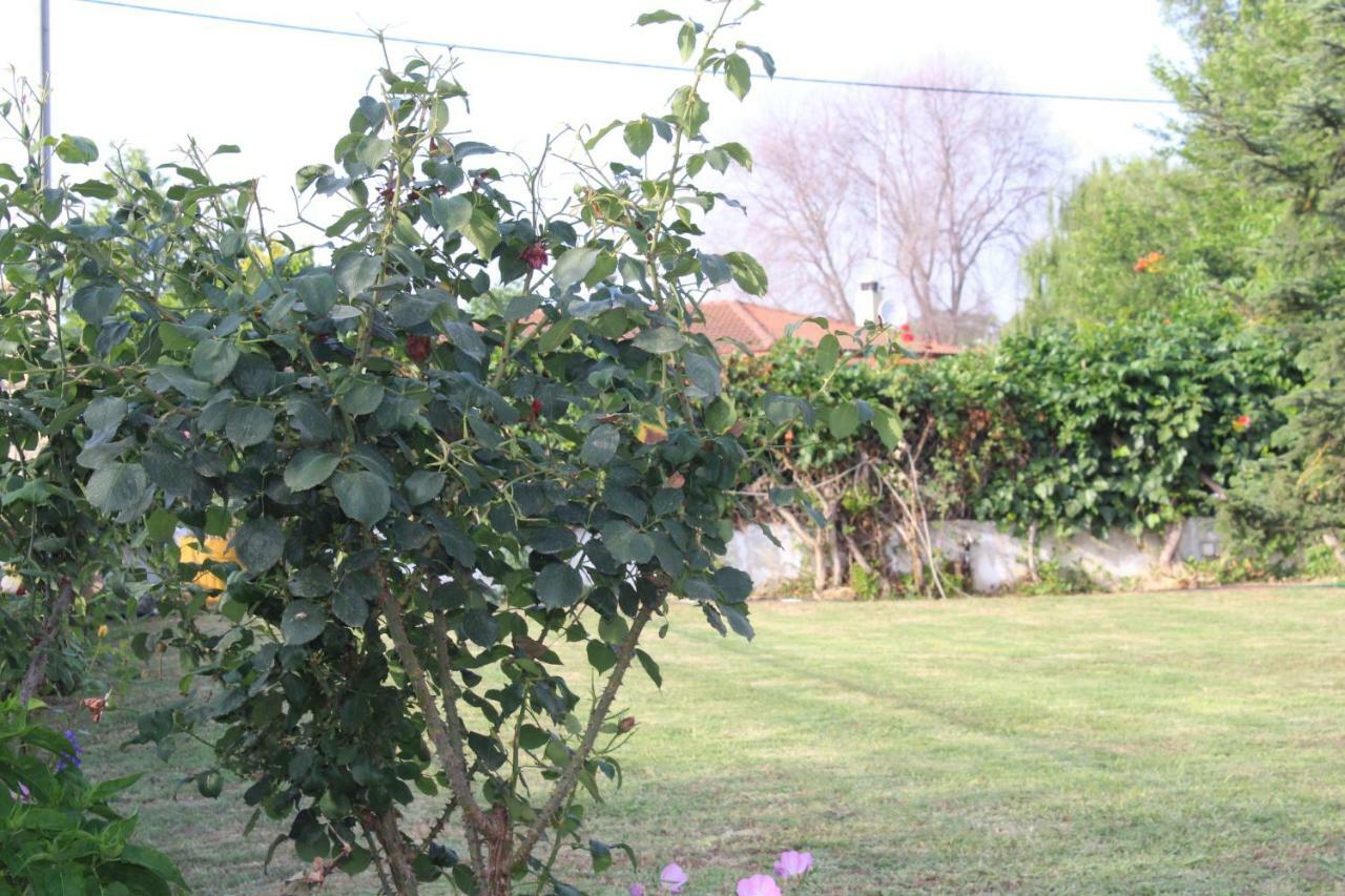 Maria'S Guesthouse Keramoti (Macedonia) Exterior foto